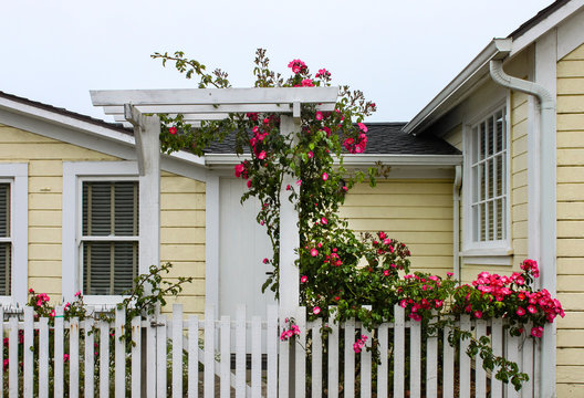 Entrance to cheery yellow wood house with white picket fence and a gate with an arbor with wild roses growing up and over it