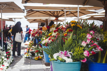 Colorful exotic flowers on sale in plant pots at a flower market in Cuenca, Ecuador