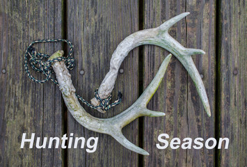 Hunting Season text with Whitetail deer antler rattling horns. Fun outdoor recreational sport activity of hunting.