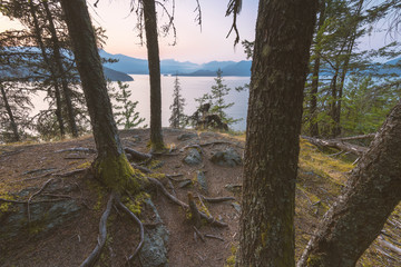 Scenic landscapes of the Pacific North West Bowen Island Forests