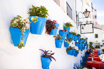 mur décoré de Pots de fleurs tables et chaises