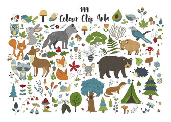 Big set of hand drawn forest illustraitions with color cartoon animals on a white background.