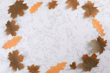 Naklejka na ściany i meble Overhead view of autumn composition. Autumn maple And oak leaves, Flat lay, top view, copy space.
