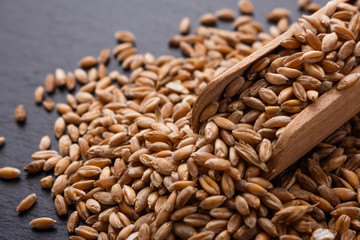 spelt seeds on a dark stone background