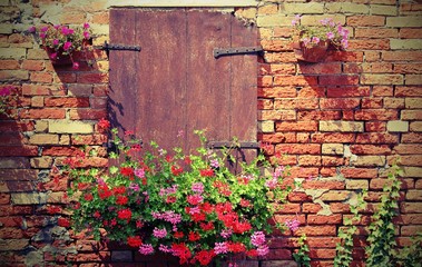 Fototapety  rural scene with pot of geraniums flowers and wall with red bric