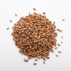 spelt seeds on a white acrylic background