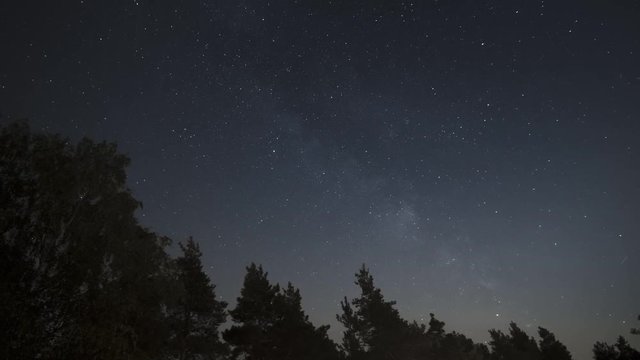 Timelapse of beautiful night starry sky and Milky Way Galaxy moving above dark silhouettes of trees, background in 4K UHD