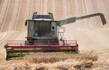 Harvest time in rural Sussex, England