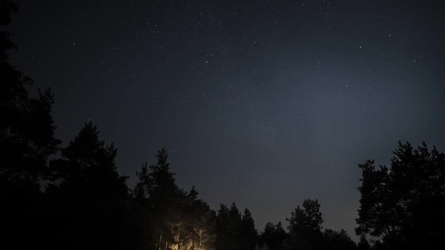 Timelapse of beautiful night starry sky moving above dark silhouettes of trees, background in 4K UHD