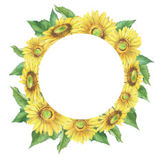 Banner, round frame with yellow flower of agriculture plant sunflower (also known as Helianthus annuus). Watercolor hand drawn painting illustration isolated on a white background