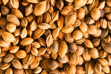 Apricot stones background