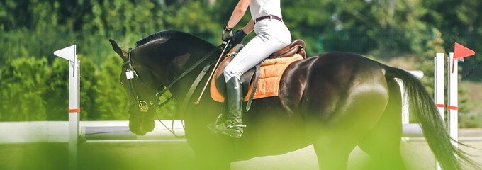 Horse horizontal banner for website header design. Dressage horse and rider in uniform during equestrian competition. Blur green trees as background. 