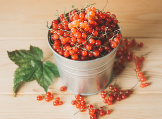 Ripe red currant berries
