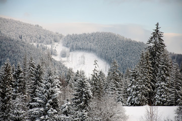 Carpathian mountains. On background of forest and ski slopes. Close up. Winter nature. Heavy snow falls. Landscape.