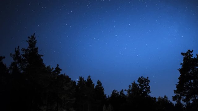 Timelapse of beautiful night starry sky moving above dark silhouettes of trees, background in 4K UHD