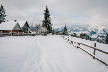 Snow-capped wooden fence, houses in mountains Carpathians Ukraine. On background Christmas tree in forest. Winter nature. Landscape. Top side view. Bukovel. On background of forest and ski slopes.