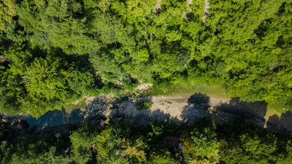 Aerial Top Down View Of Caucasus Mountains Forest Trees. Directly above view from drone on a sunny summer day.