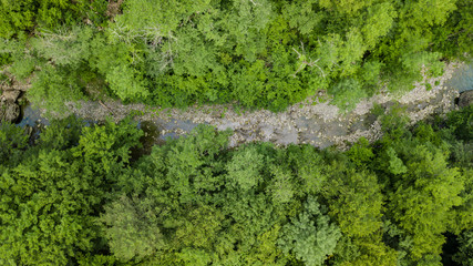 Aerial Top Down View Of Caucasus Mountains Forest Trees. Directly above view from drone on a sunny summer day.