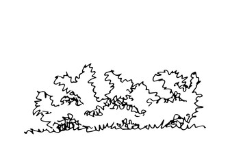 Hand drawn architect shrub, vector sketch, architectural illustration