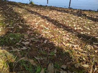 sol na represa