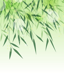 Obraz premium Ilustracja wektorowa liści bambusa. Naturalne tło z zielonymi liśćmi