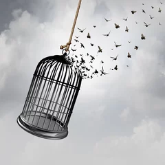 Idee der Freiheit © freshidea