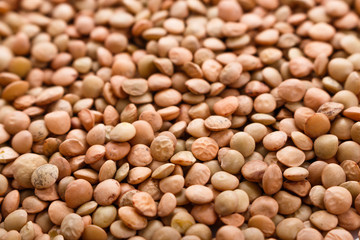 raw lentils on a white acrylic background