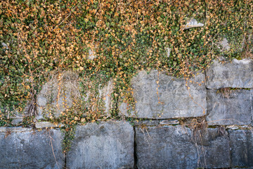 Erie Canal Towpath 
