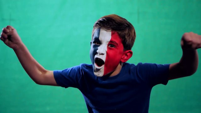 French fan celebrating victory