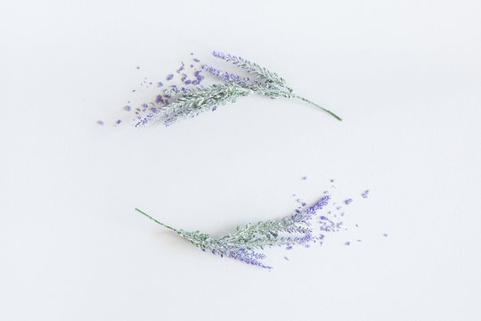 Fototapeta Lavender flowers on pastel gray background. Flat lay, top view, square
