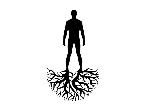Person roots silhouette heritage illustration  