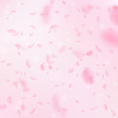 Sakura petals falling down. Romantic pink flowers falling rain. Flying petals on pink square backgro