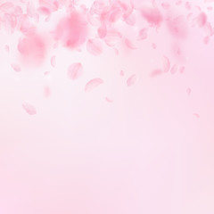 Sakura petals falling down. Romantic pink flowers gradient. Flying petals on pink square background.