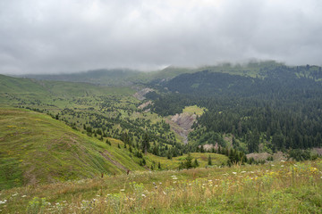 greenköy natural life and landscape