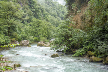 mountain river with a strong current in the mountains