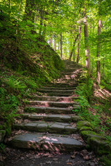 Fillmore Glen State Park