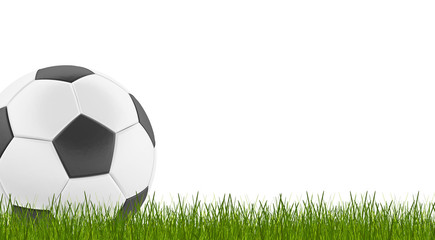 soccer ball in green grass blades of grass 3d-illustration