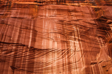 Sandstone Canyon Wall Texture