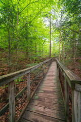 High Falls Gorge