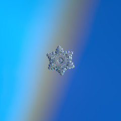 Snowflake glittering on smooth gradient background. Macro photo of real snow crystal: star plate...