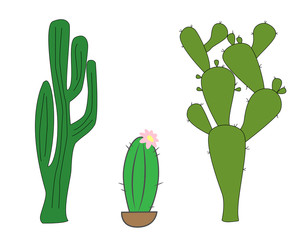 A set of illustrations with cactus. Illustration of a blooming cactus. Vector illustration. Cartoon print.