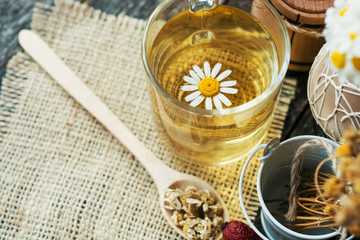 cup of herbal chamomile tea with fresh daisy flowers on wooden background. doctor treatment and prevention of immune concept, medicine - folk, alternative, complementary, traditional medicine 