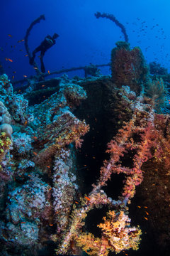 Diving in Numidia wreck at big brother island, Red Sea