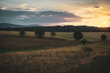 Sonnenuntergang in der Harz Landschaft