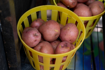 Red potatoes at the farmers market
