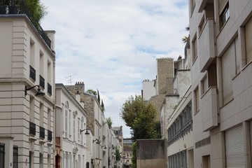 Fototapeta na wymiar Ruele parisienne