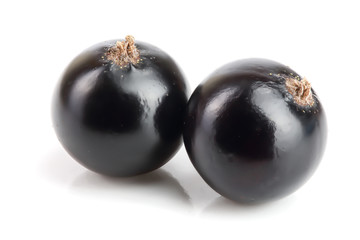 two black currant isolated on white background