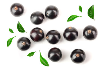 black currant with leaf isolated on white background. Top view. Flat lay pattern