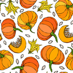 Seamless Endless Pattern of Pumpkin. Half of Whole Orange Pumpkins, Flower, Seeds. Autumn or Fall Vegetable Harvest Collection. Realistic Hand Drawn High Quality Vector Illustration. Doodle Style.