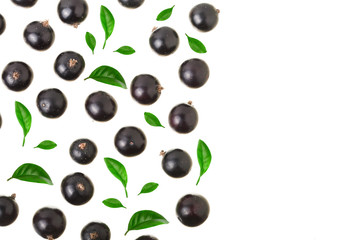 black currant isolated on white background with copy space for your text. Top view. Flat lay pattern